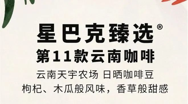 彩云之南的馥郁传奇开元棋牌云南咖啡：(图3)