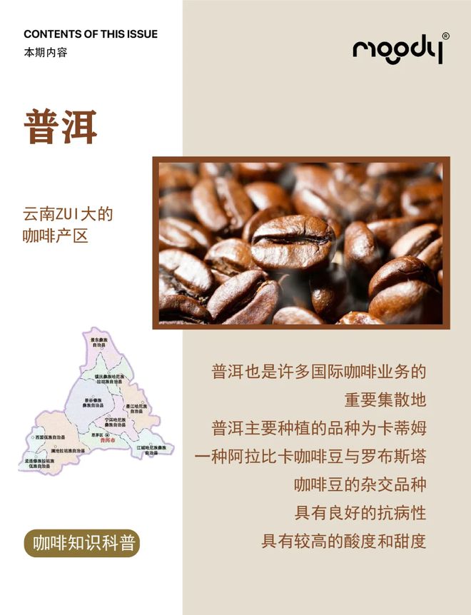 彩云之南的馥郁传奇开元棋牌云南咖啡：(图12)