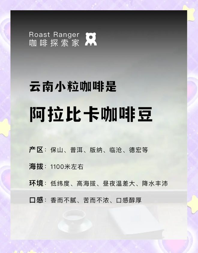彩云之南的馥郁传奇开元棋牌云南咖啡：(图17)