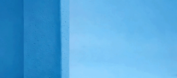 徐汇“桥计划”助青年“职”达未来ky开元